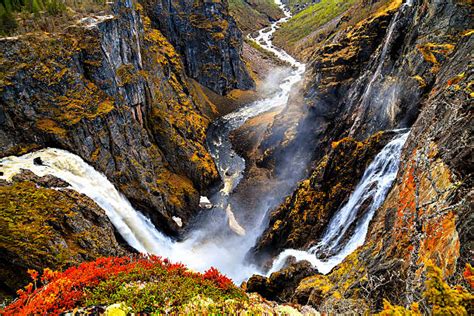Norwegian Waterfall Voringsfossen Stock Photos Pictures And Royalty Free