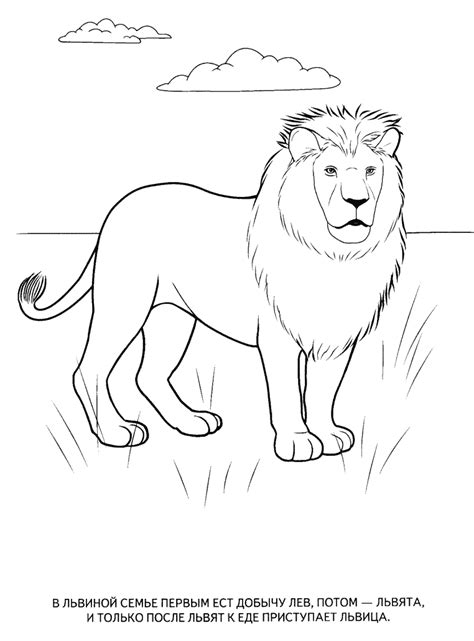 Free Printable Wild Animals Coloring Pages