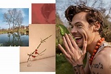 Exclusive: Harry Styles Shares the Meaning Behind His New Album, 'Harry ...