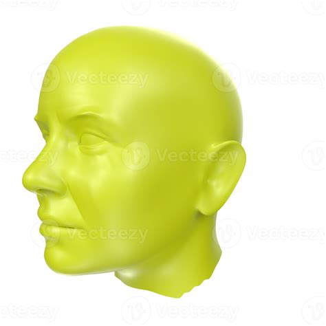 Free 3d Rendering Of Human Bust 17778048 Png With Transparent Background