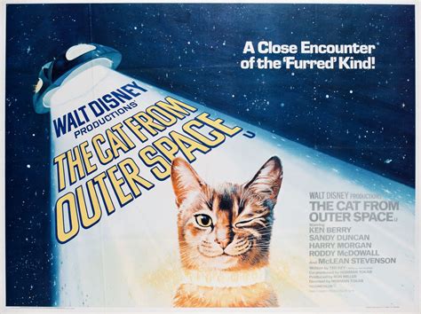 Tolle angebote bei ebay für arctic cat kittycat. Arctic Cat Kitty Cat Hood - Pets Ideas