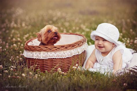 Photography Baby Hd Wallpaper