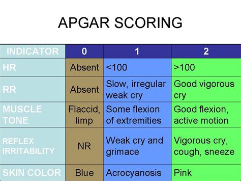 The Apgar Scale What Is The Assessment Of The Newborn