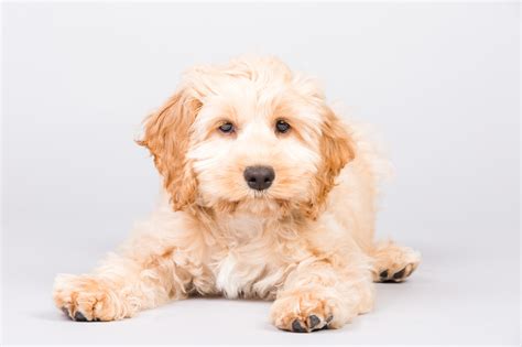 Everyone has an opinion - It doesn't make it true! — The Pitter Patter