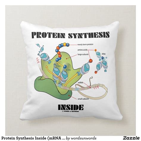 Protein Synthesis Inside Mrna Trna Throw Pillow In 2021