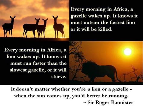 Friendship quotes love quotes life quotes funny quotes motivational quotes inspirational quotes. "Every morning in Africa, a gazelle wakes up, it knows it must outrun the fastest lion or it ...