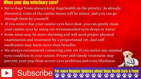 Why Are My Dogs Eyes Red 13 Causes Treatment Prevention Serve Dogs