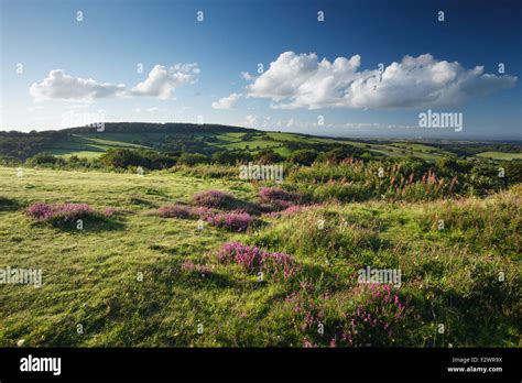 View From Cothelstone Hill The Quantock Hills Somerset Uk Stock