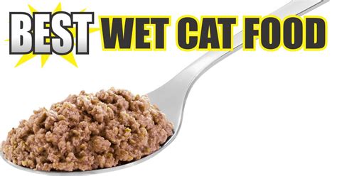 Whiskas is an american dog and cat food brand having a huge market all over the globe. Top 10 Best Wet Cat Food Brands for 2017 | The Cat Digest ...