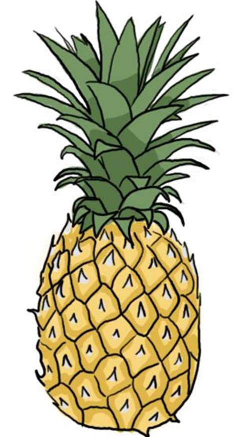 Pineapple Coloring Page Sweet Caribbean Pineapple Coloring Page 600 X