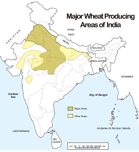 Major Crops Of India Gktoday
