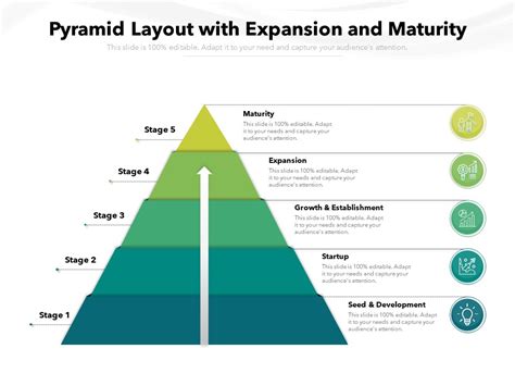 Pyramid Layout With Expansion And Maturity Ppt PowerPoint Presentation