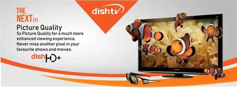 Hello everybody, here is a video in response to your demand of a new video about how to get a free international credit card / debit card. Dish TV Packages Recharge Online in Dubai UAE with Credit Card: November 2019