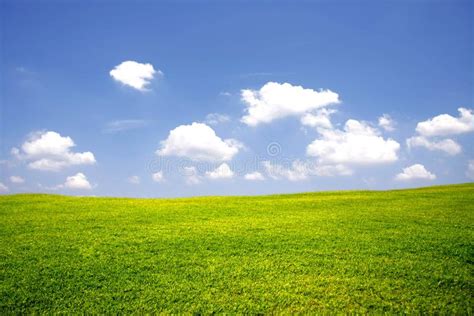 Green Meadow With Blue Sky Stock Image Image Of Peaceful 37920099