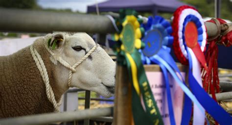 North Devon Show One Day Agricultural Show 7th August 2024