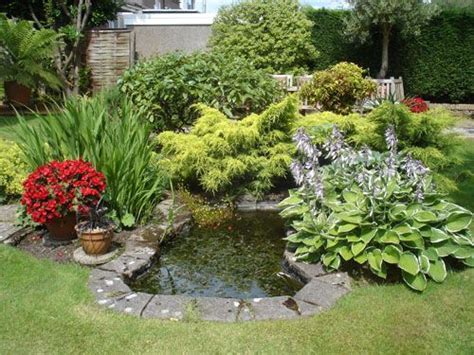 These plants do not grow under water. small ponds - great planting around this pond- I think that is what makes a design successful ...
