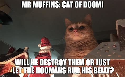 Cat Of Doom Imgflip