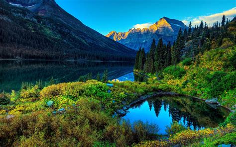 Beautiful Forest Green Lake Landscape