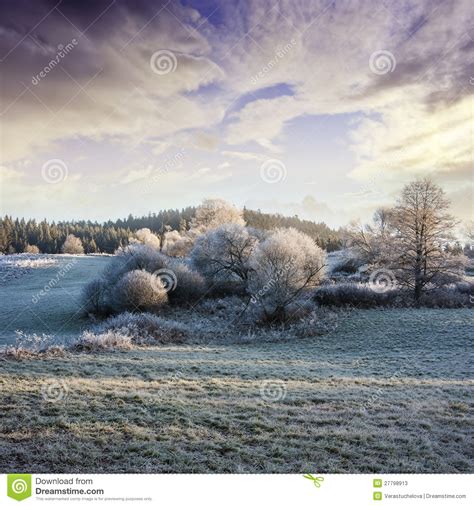 A Winter Morning With A Beautiful Sunrise Stock Image
