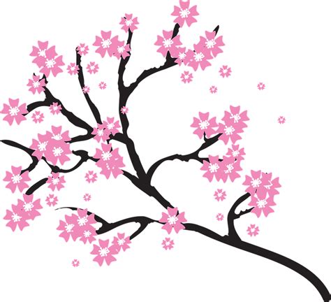 Sakura Cherry Blossom Vector Art Png Cherry Blossom Png With Sexiz Pix