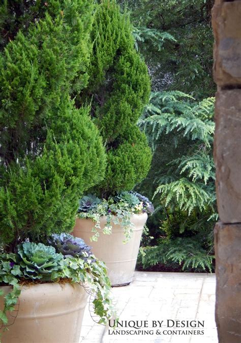 874 Best Images About Landscaping With Planters And
