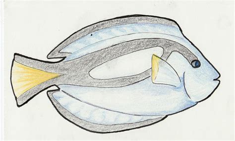 Color Pencil Blue Tang By Amrix11 On Deviantart