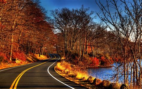 Road Trees Without Leaves Autumn Hd Wallpaper Download Wallpapers Pictures Photos