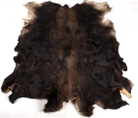 You can do it yourself too! Large Vintage Montana Moose Hide | Vintage, Home decor ...