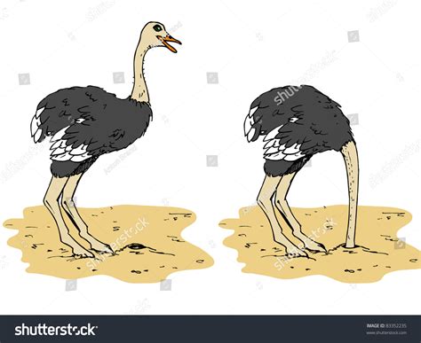 Cartoon Ostrich With Head Below Sand Isolated On White Stock Vector