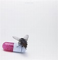 I'm With You : Red Hot Chili Peppers: Amazon.es: Música
