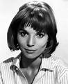 elsa-martinelli-1961 | Italian actress, Italian beauty, Hollywood icons