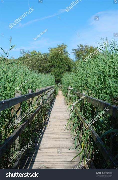 A Wooden Walkway Across A Wetlands Nature Reserve Stock