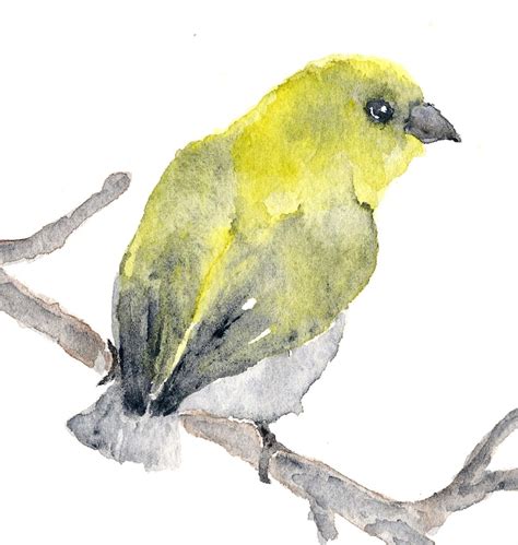 Watercolor Bird Painting Bird Art Yellow Birds Nature Etsy