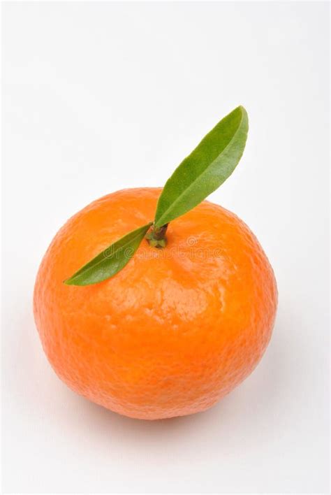 Sweet Orange And A White Background Stock Photo Image Of Fresh Tasty