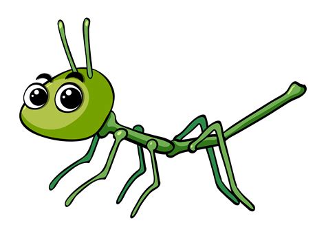 Stickinsect On White Background 369717 Vector Art At Vecteezy