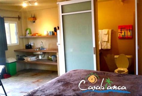 pensão casablanca guest house adults only starlink internet zipolite as melhores ofertas com