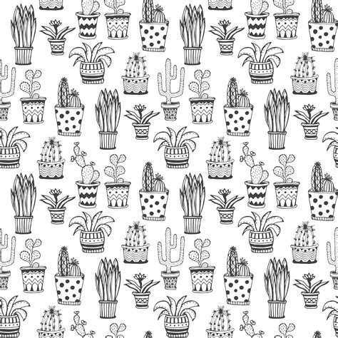 Wallpaper Cactus Black And White Suculentas Cactus