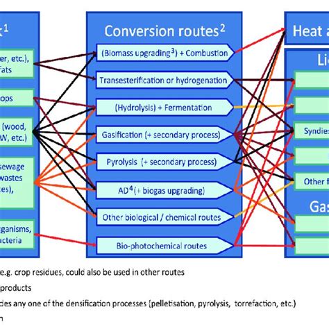 Biomass Conversion Processes Download Scientific Diagram