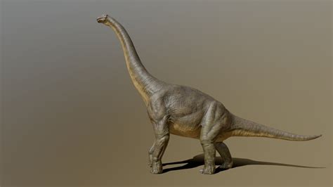 Brachiosaurus Giraffatitan 3d Model By Pxltiger 9c97710 Sketchfab