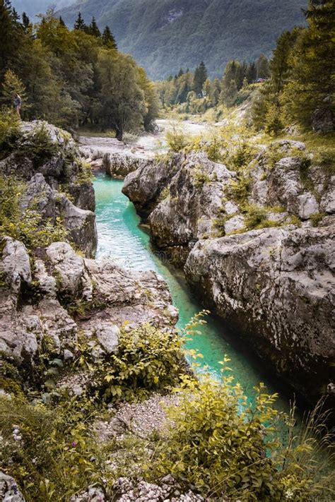 Scenic Great River Soca Gorge In Triglav National Park Slovenia Stock Photo Image Of Fishing