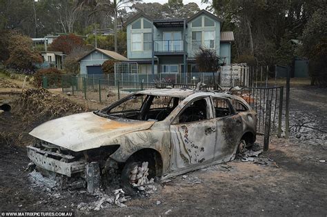 Shocking Photos Show Devastating Aftermath Of Nsw Bushfires Daily