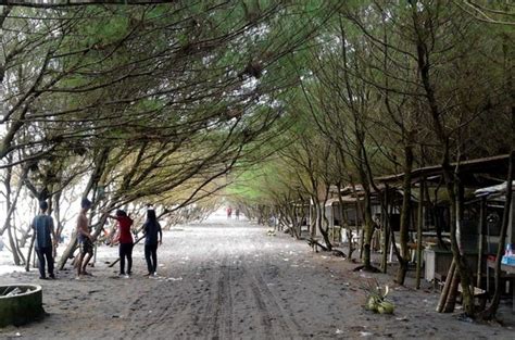Destinasti Objek Wisata Pantai Kuwaru Di Srandakan Bantul Yogyakarta