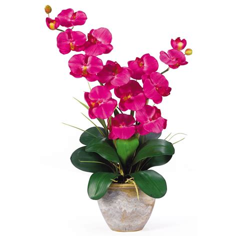 Double Stem Phalaenopsis Silk Orchid Arrangement 1026 Nearly Natural