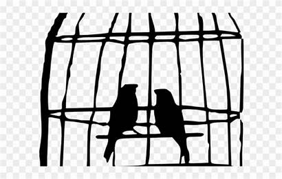 Clipart Cage Animal Bird Clip Caged Birds