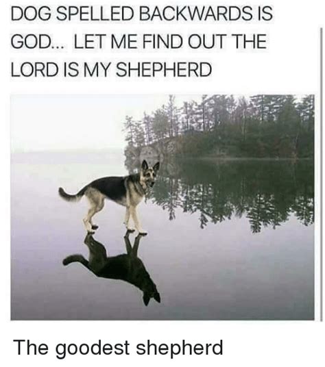 Dog Spelled Backwards Is God Let Me Find Out The Lord Is My Shepherd