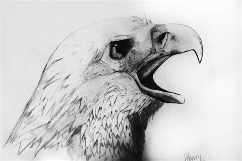 Welcome to my gallery of pencil drawings of animals. 40 Beautiful and Realistic Animal Sketches For Your Inspiration