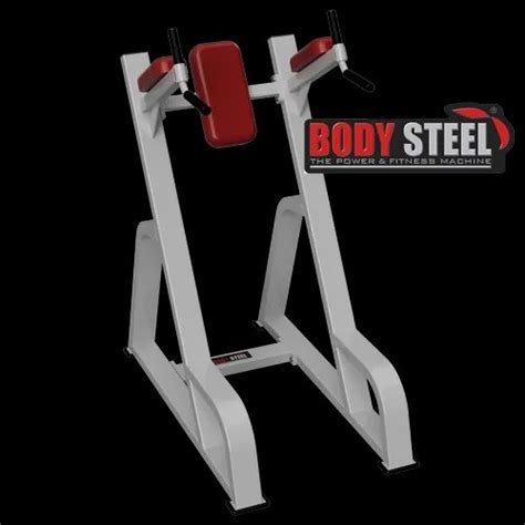 Body Steel Pro 1937 Vertical Knees Up For Gym At Rs 22000 In Jaipur