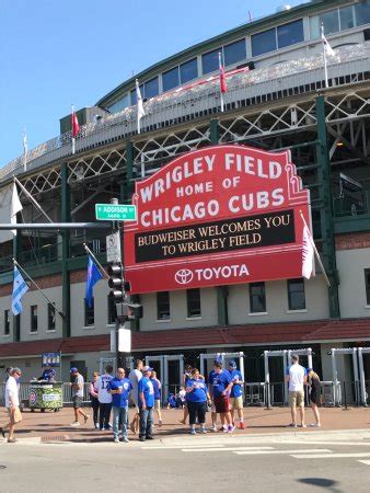It's a place where magic happens and dreams do come a crowd pleaser and infielder, javy baez is the star of the chicago cubs. Wrigley Field (Chicago, IL): Top Tips Before You Go (with Photos) - TripAdvisor