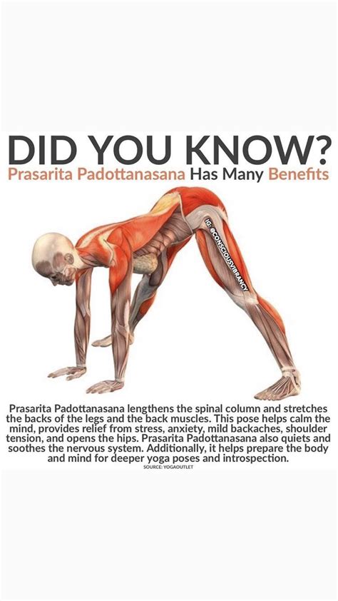 Easy Yoga Workouts Stretching Exercises Yoga Stretches Yoga Postures