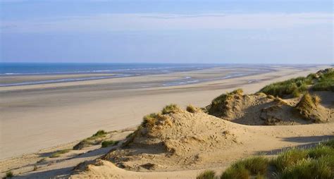 Maybe you would like to learn more about one of these? LA BAIE DE SOMME, LE MARQUENTERRE (Côte Picarde) - Guide de tourisme et visite en photos